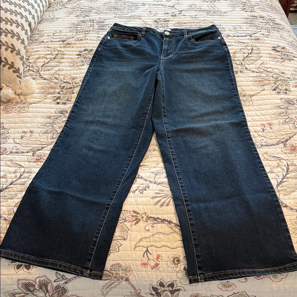 ARULA High-Rise Wide Leg Jean, size 10, Dark Blue, NWOT
